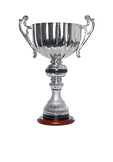 https://www.volleyworldnapoli.it/wp-content/uploads/2022/11/trophy_01-8.png