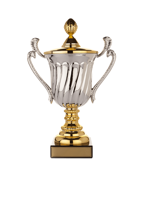 https://www.volleyworldnapoli.it/wp-content/uploads/2022/11/trophy_02-8.png