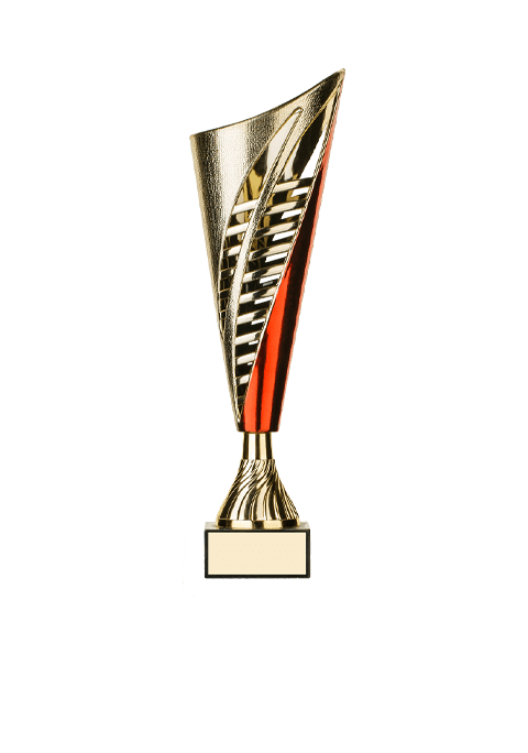 https://www.volleyworldnapoli.it/wp-content/uploads/2022/11/trophy_05-8.png