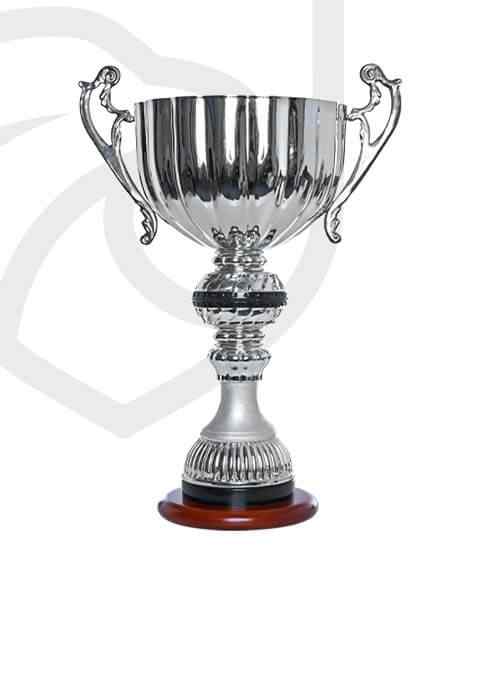https://www.volleyworldnapoli.it/wp-content/uploads/2022/11/trophy_overlay_01-8.jpg