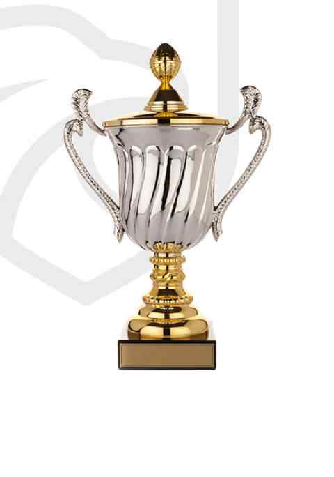 https://www.volleyworldnapoli.it/wp-content/uploads/2022/11/trophy_overlay_02-8.jpg